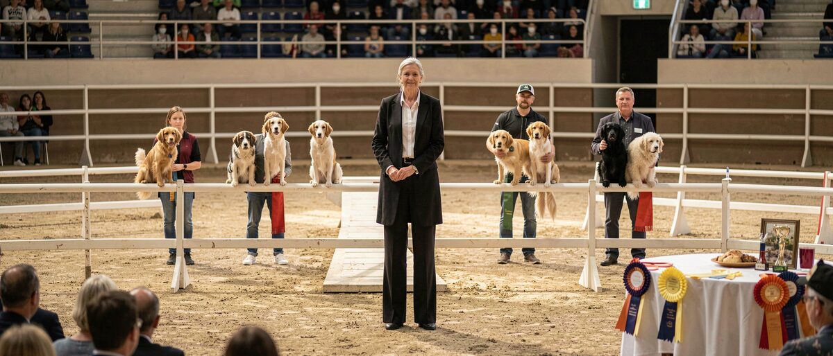 The site beside the subject: The mechanics of the breed ring: the classes, Winners Dog and Winners Bitch, the return of the champions, and how a morning becomes Best of Breed.