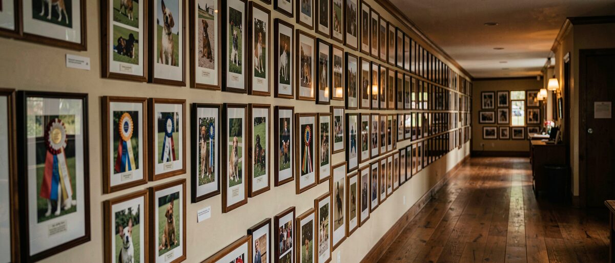 The site beside the subject: From the baiting pit to the show ring: what the written bulldog standard kept from the old dog, what it rewrote, and what it chose to say instead.