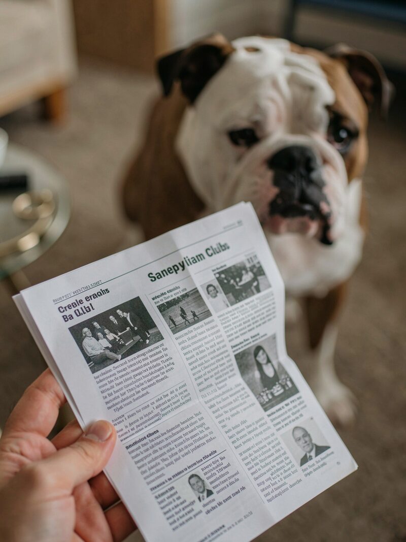 The detail kept beside « The newsletter that held the club »: A stack of folded printed newsletters on a metal folding table beside a show catalog, a coffee cup ring on the top page, ring ropes in the background.
